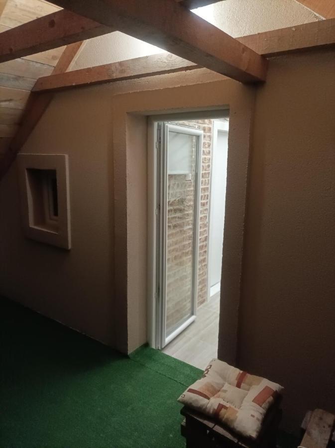 Apartmani Marija Zemun Zemun Polje Dış mekan fotoğraf